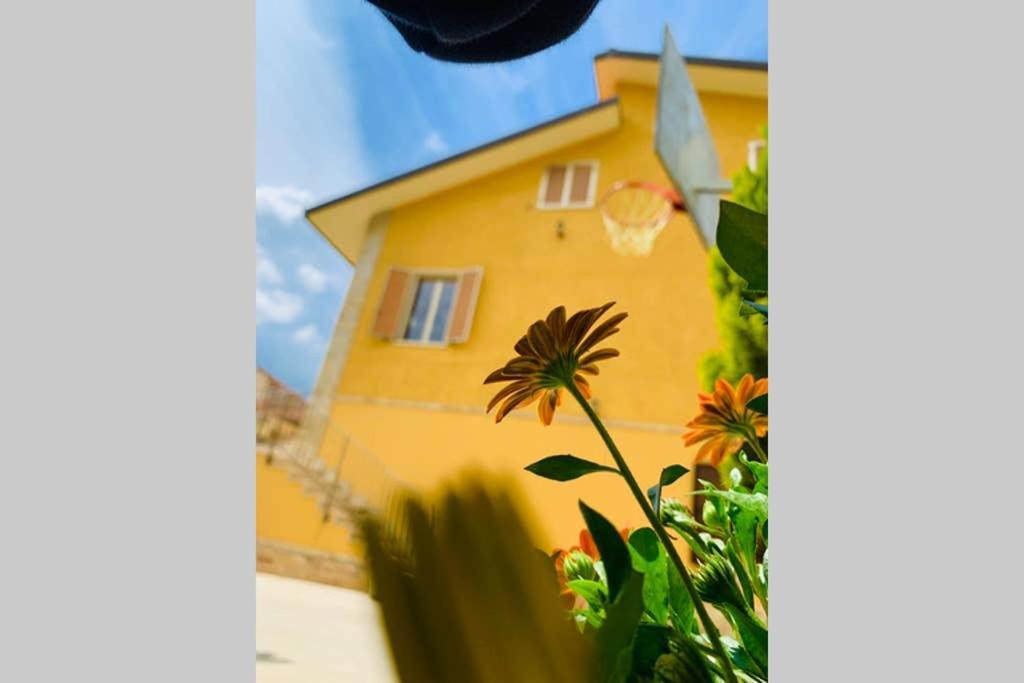 Flowery House Miglianico Exterior foto